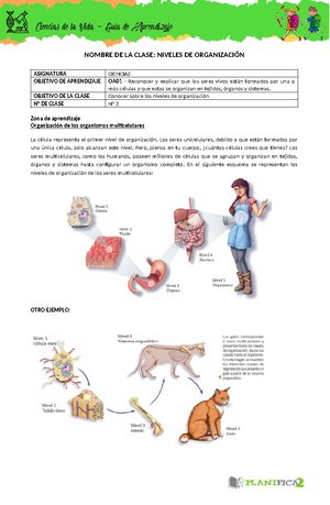 Gráficas Herfo SL